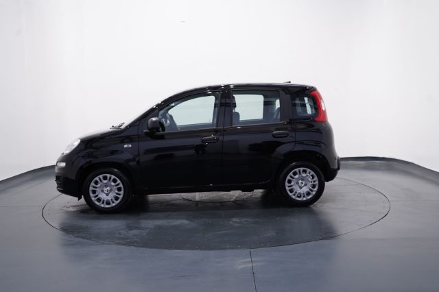 FIAT New Panda usata, con Airbag Passeggero