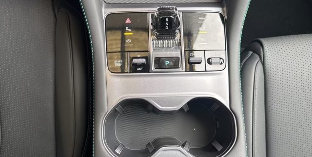 BYD Seal usata, con ESP