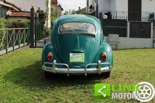 VOLKSWAGEN Maggiolino usata 12