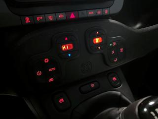 FIAT Panda Cross usata, con Servosterzo