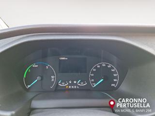 FORD Transit Custom usata, con Fendinebbia