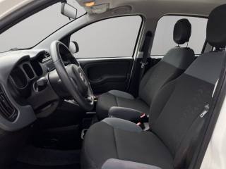 FIAT Panda usata 6
