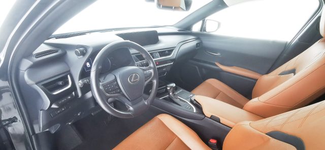 LEXUS UX 250h usata 67