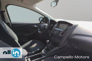 FORD Focus usata 12