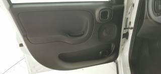 FIAT Panda usata 41