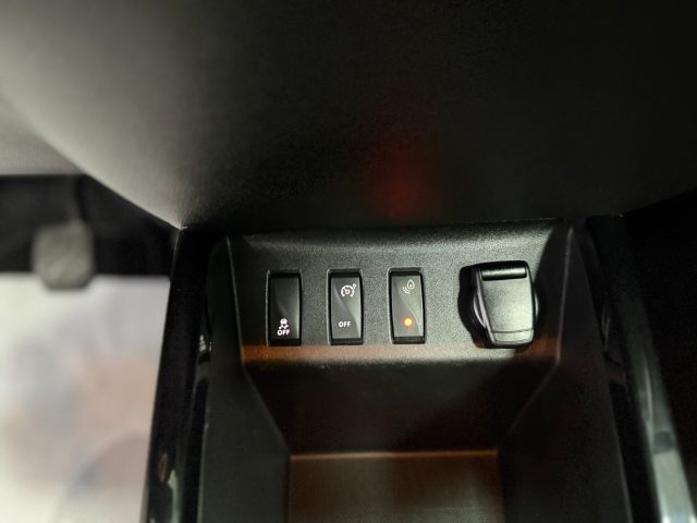 DACIA Spring usata, con Volante multifunzione