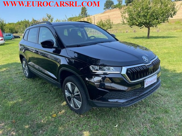 SKODA Karoq usata, con ABS