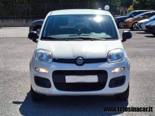 FIAT Panda usata, con Airbag Passeggero