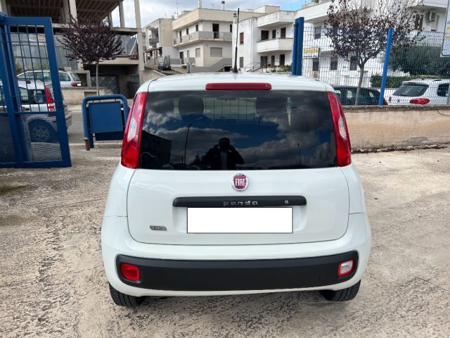 FIAT Panda usata 6