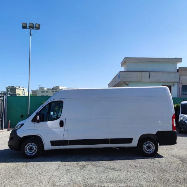 FIAT usata 5