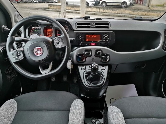 FIAT Panda usata 15