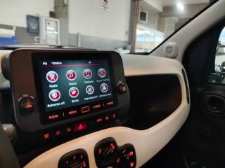 FIAT Panda usata 23