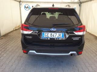 SUBARU Forester usata, con Fendinebbia