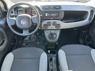 FIAT Panda usata, con Cronologia tagliandi