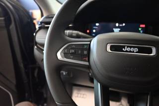 JEEP Compass usata 207