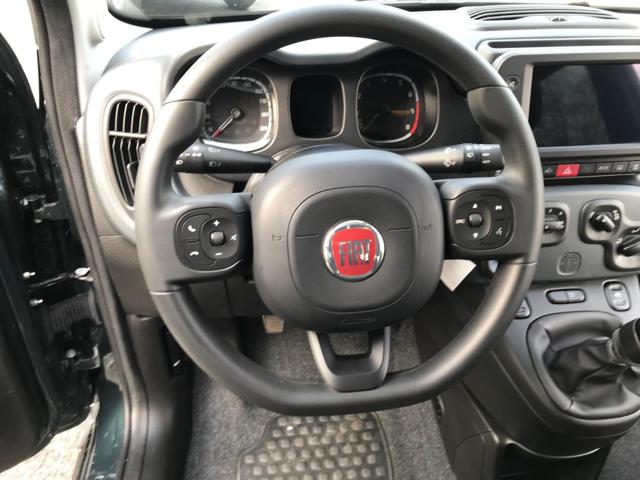 FIAT Panda Cross usata, con Vetri oscurati