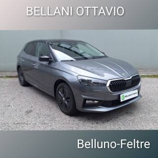 SKODA Fabia 1.0 TSI 95 CV selection