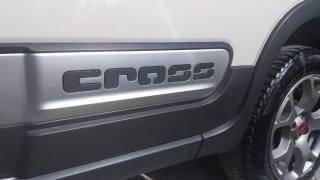 FIAT Panda Cross usata, con Cronologia tagliandi