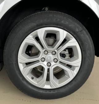 LAND ROVER Range Rover Evoque usata, con Controllo trazione