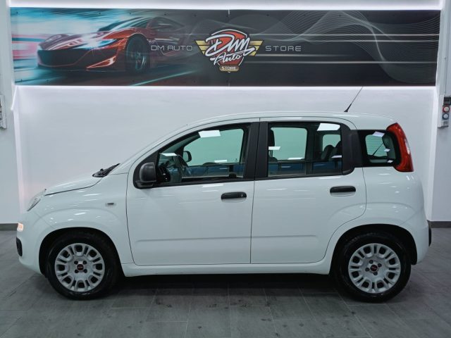FIAT Panda usata, con Controllo trazione