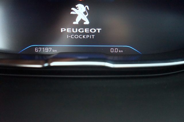 PEUGEOT 3008 usata 51