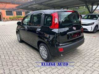 FIAT Panda usata, con Antifurto