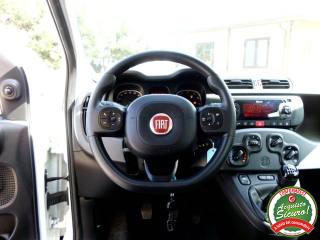 FIAT Panda usata, con USB