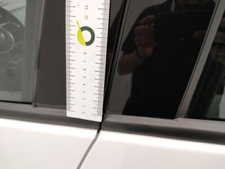 FIAT 500 usata 55