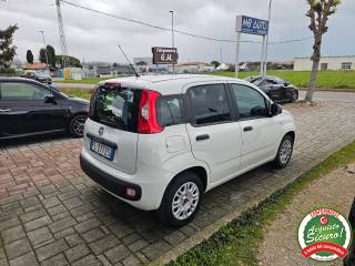 FIAT Panda usata, con Autoradio