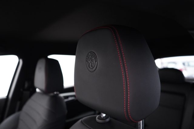 ALFA ROMEO Tonale usata, con Vetri oscurati