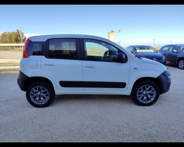 FIAT Panda usata 19