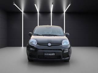 FIAT Panda usata, con ESP