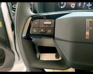 FIAT Doblo usata 13