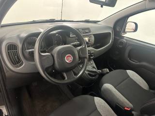 FIAT Panda usata, con Assistente abbaglianti