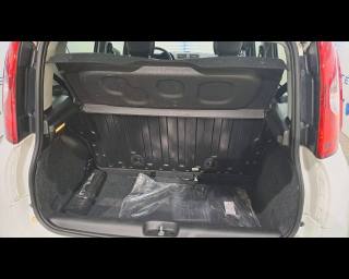FIAT New Panda usata, con Assistente abbaglianti