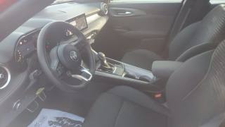 ALFA ROMEO Tonale usata, con Vetri oscurati