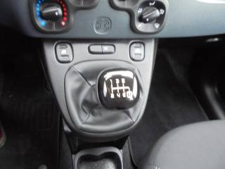 FIAT Panda usata 24