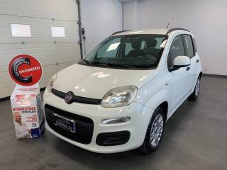 FIAT Panda usata, con Airbag Passeggero