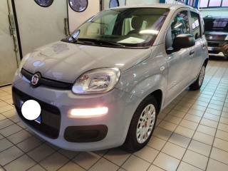 FIAT Panda usata, con Airbag Passeggero