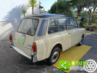 AUTOBIANCHI Bianchina usata 10