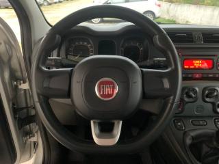 FIAT Panda usata, con Controllo trazione