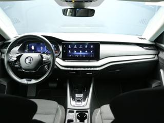 SKODA Octavia usata, con Controllo automatico clima