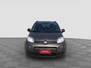 FIAT Panda usata 3
