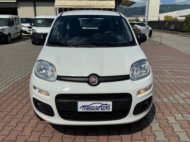 FIAT New Panda usata, con Airbag Passeggero