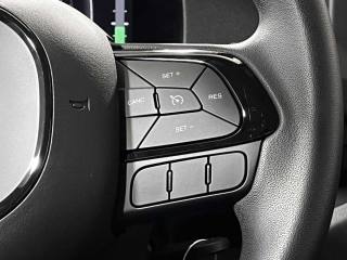 FIAT Panda usata 19