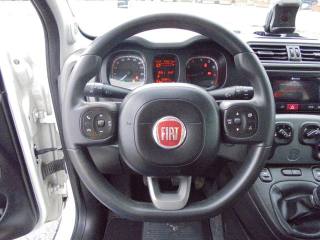 FIAT Panda usata 26