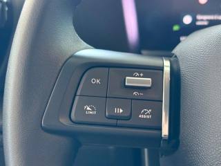 CITROEN C4 usata, con Controllo trazione