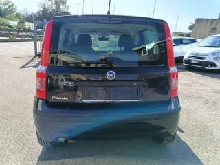 FIAT Panda usata 7