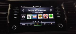 SKODA Kodiaq usata, con Airbag testa