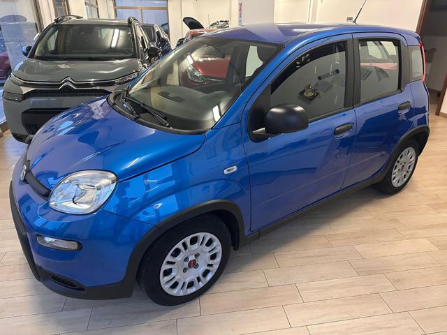 FIAT Panda usata, con Controllo trazione